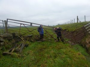 Further on there are some more gates to be negotiated.  Sadly one of the walls has been toppled at some point so you are walking along the remnants of the wall for a bit.  , © Neil Ramsay