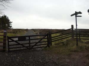 Gate at the top of Bonaly Woods / Puke Hill. © Colin Cadden, Colin Cadden