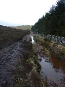 Path has deteriorated along this section and is like this much of the way through Phantom's Cleugh. © Colin Cadden, Colin Cadden