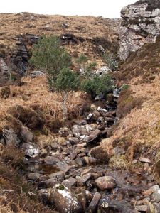 NC118010 looking north: Allt Bealach. A ford across the burn, just before the coastal path climbs up the hillside (2008). © Chris Eilbeck, Geograph