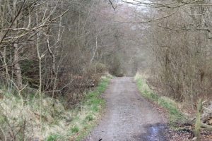 Queen Mary's Road. © Dave Jones-Lofting, Dave Jones-Lofting via email