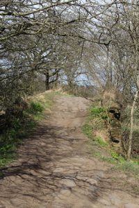 Barrel Brig. © Dave Jones-Lofting, Dave Jones-Lofting via email