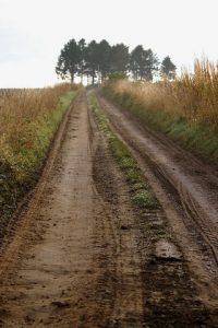 Farmtrack, Lethendy. © Mike Pennington, Geograph