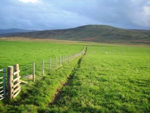 Fallside's Fields.  , © Richard Webb, Geograph