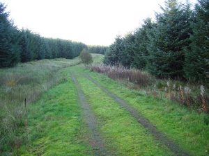 Burnhouse Moor. © Richard Webb, Geograph