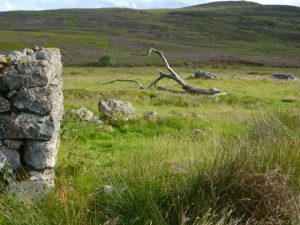 Monbuie drove stance.  The drove stance owner's house is in the foreground with the boundary for keeping the cattle in behind and the bothy for the drovers in the distance.  , © Neil Ramsay