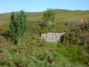 This is the remains of the dam at Monbuie drove stance where cattle would have been able to take a well earned drink.  , © Neil Ramsay
