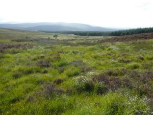 This is Monbuie from a distance as you approach it.  The presence of cattle, even two hundred years ago, is evident from the patch of yellowish grass in contrast to the square miles of heather all around.  This is the result of heavy dunging long ago.  , © Neil Ramsay