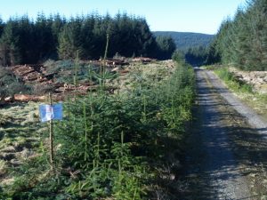 Roman Road, Williemont Hass. The sign exhorts forestry workers not to deface the road in any way, although to the untrained eye it looks just like any forestry road... © Chris Eilbeck, Geograph