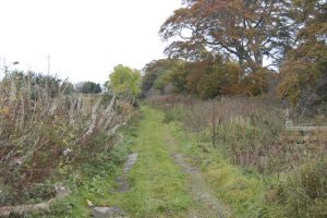 Track to Glasgoforest Farm.  , © Bill Harrison, Geograph