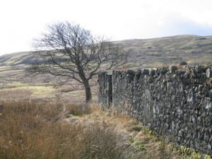 Burnfoot, a derelict house close to where Burnfoot Burn and Backside Burn meet. © Louise Harris, Geograph