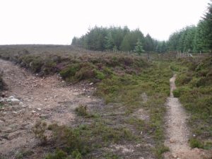 Re-entering forest below Shillofad. The large gate indicates the road was a considerable width at some time. © Graham Marr