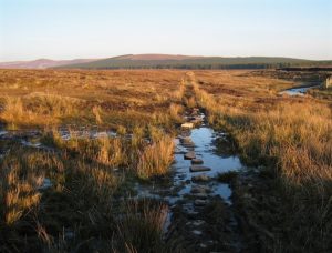 Strath a' Chraisg. The beginning of the path to Kinbrace, it looks a bit boggy here, and it doesn't really improve for the first 3 miles!, © Stuart Meek, Geograph