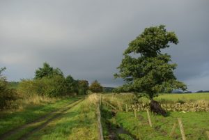NS587787: looking west along the Strathkelvin Railway Path (2008). Since the photograph was taken this stretch has been tarmacced.