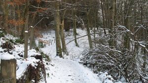 The Catwalk