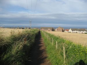 The Creel Path approaching St Abbs. © Chris Heaton, Geograph