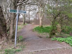 NS 703 777: this woodland path at Arnbrae takes off from the old line of the A803 and heads up to Balcastle Farm. © BJ Smur, Geograph