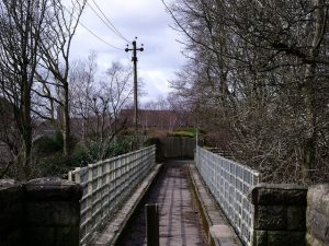 NS 720 784: looking west across the former mineral railway viaduct across the Garrel Glen. © BJ Smur, Geograph