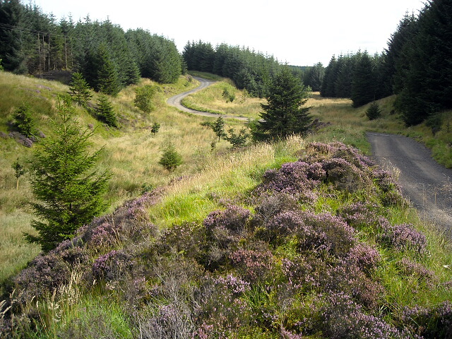 The Weavers Trail