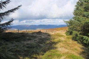 NT181331 looking NNW. Exit from the forest on the line of the Thief's Road. Heading south having contoured under Breach Law summit, it continues to Dollar Law and beyond (2014). © Jim Barton, Geograph