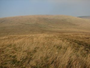 NY473996: Queen's Mire, looking north (2008). A shallow and slightly boggy col between Winterlair Hill and Swire Knowe to the north. © Callum Black, Geograph