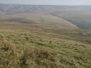 NY474992 looking east from the line of the Thieves Road. The Barley Burn runs down a steeply sided valley, so is not visible in this view taken from the slopes of Winterlair Hill. The heather-clad Reedy Edge lies beyond. © Callum Black, Geograph