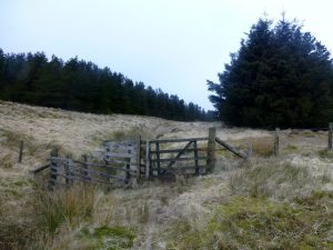 Thieves Road, Hawick to Newcastleton