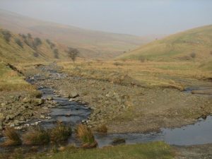 NY473977 Braidley Burn (2008). The track to Braidliehope crosses several fords at the junction of the Braidley Burn and the Tongue Burn. © Callum Black, Geograph