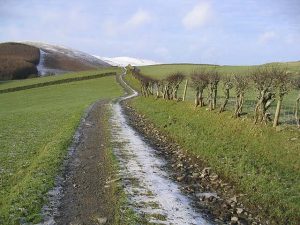 NY476970 Farm track, Old Braidlie (2007). Provides access to Braidliehope and is a popular route to Cauldcleuch Head and Greatmoor Hill. © Walter Baxter, Geograph