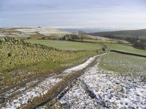 NY475971 looking ESE to Old Braidlie from the track (2007). © Walter Baxter, Geograph