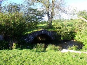 NS785903: Bannock Burn, Chartershall. A single arch span bridge takes Tinkers' Loan over the river. © Robert Murray, Geograph
