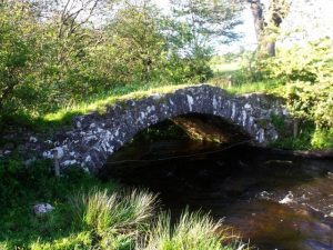 NS785903: a closer view of the bridge taking Tinkers' Loan over the Bannock Burn. The structure has a great chunk missing from the upstream side, but vegetation makes a photo of that side impossible at this time of year (May 2011). © Robert Murray, Geograph