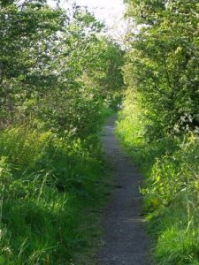 NS783908: Tinkers' Loan. What must have been a track wide enough for horses and probably carts is now very much encroached by the vegetation lining its sides. It links Polmaise with Chartershall (May 2011). © Robert Murray, Geograph