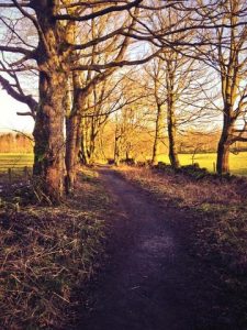 Nice day on Tinkers Loan, near Cambusbarron. © Richard Barron, Richard Barron via ScotWays twitter