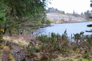 NG887727 looking NNW. The lochside path to Tollie heads northwards to reach the A832 just over 1km from Poolewe. Here it follows the shore of Loch Maree through Slattadale Forest. © Jim Barton, Geograph