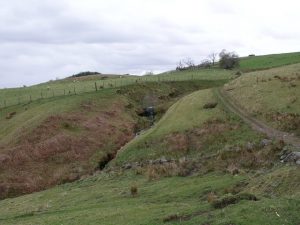 NS739804: the track leading west towards Drumnessie, seen in the distance. © Robert Murray, Geograph