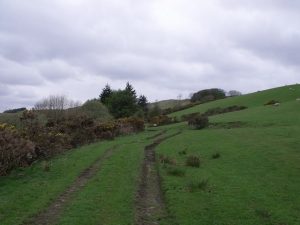 NS746801: looking WNW along the track from Glenhead to Drumnessie. The Banton Burn is beyond the broom to the left. © Robert Murray, Geograph