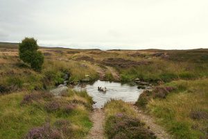 A ford across the Ourack Burn. © Des Colhoun, Geograph