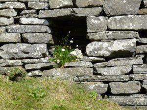 Niche at Whaligoe harbour - these recesses in the wall were used to shelter oil lamps, illuminating the work area. © Sylvia Duckworth, Geograph