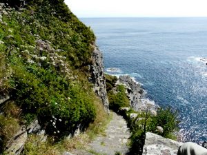 Whaligoe Steps - these 18th century stone steps (over 300 of them!) lead down to a tiny rocky harbour, once home to a small herring fishing fleet. © Sylvia Duckworth, Geograph