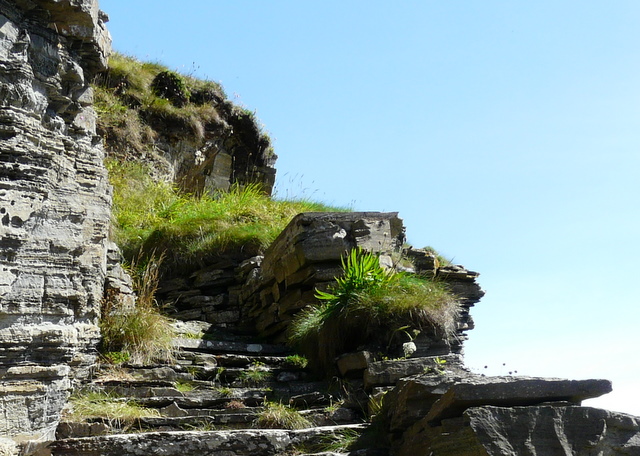 Whaligoe Steps