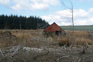 NT603000 Enclosure and disused farm building on Wheel Rig in Wauchope Forest (2008). This enclosure marked as a sheepfold on the 1863 OS 6 inch map, lies just to the west of the site of Wheel Church. © Peter McDermott, Geograph