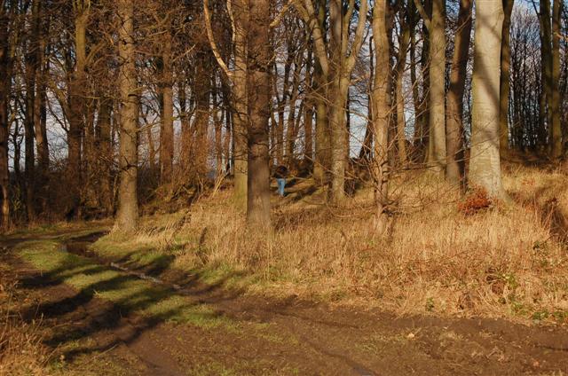 Windylaw Path