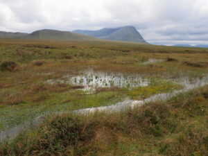 Bog beside Moine Path, looking to Ben Hope © Neil Birch