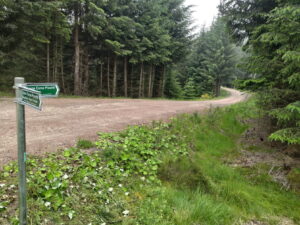 NO 766 879: ScotWays signpost where the route rejoins the forest roads in Fetteresso Forest © Neil Birch