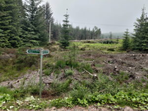 NO 766 879: ScotWays signpost where the route rejoins the forest roads in Fetteresso Forest © Neil Birch