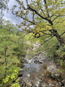 River Leven © Andrew Moss