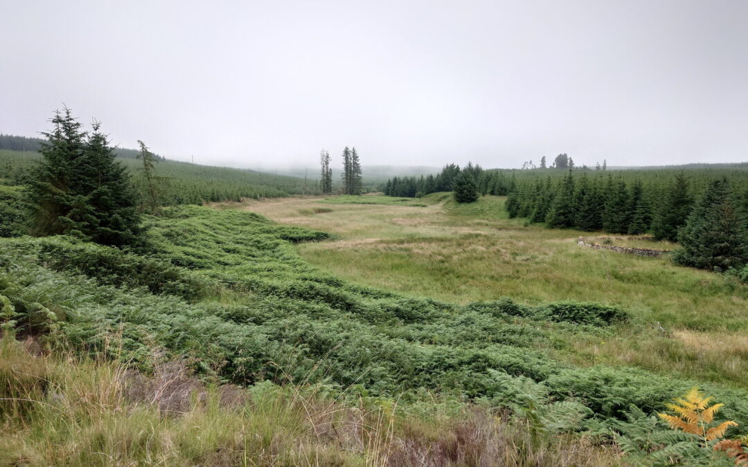 Carter Route (Carterhouse Farm to Carter Fell)