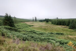 Carter Route (Carterhouse Farm to Carter Fell)