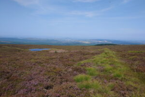 NT670034: Looking north along the route from Carter Fell  (2026) © Sarah Dalrymple